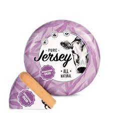 Jersey Krachtig Oud