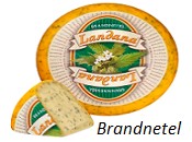 Brandnetel Landana