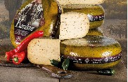 Briljant Jalapeno