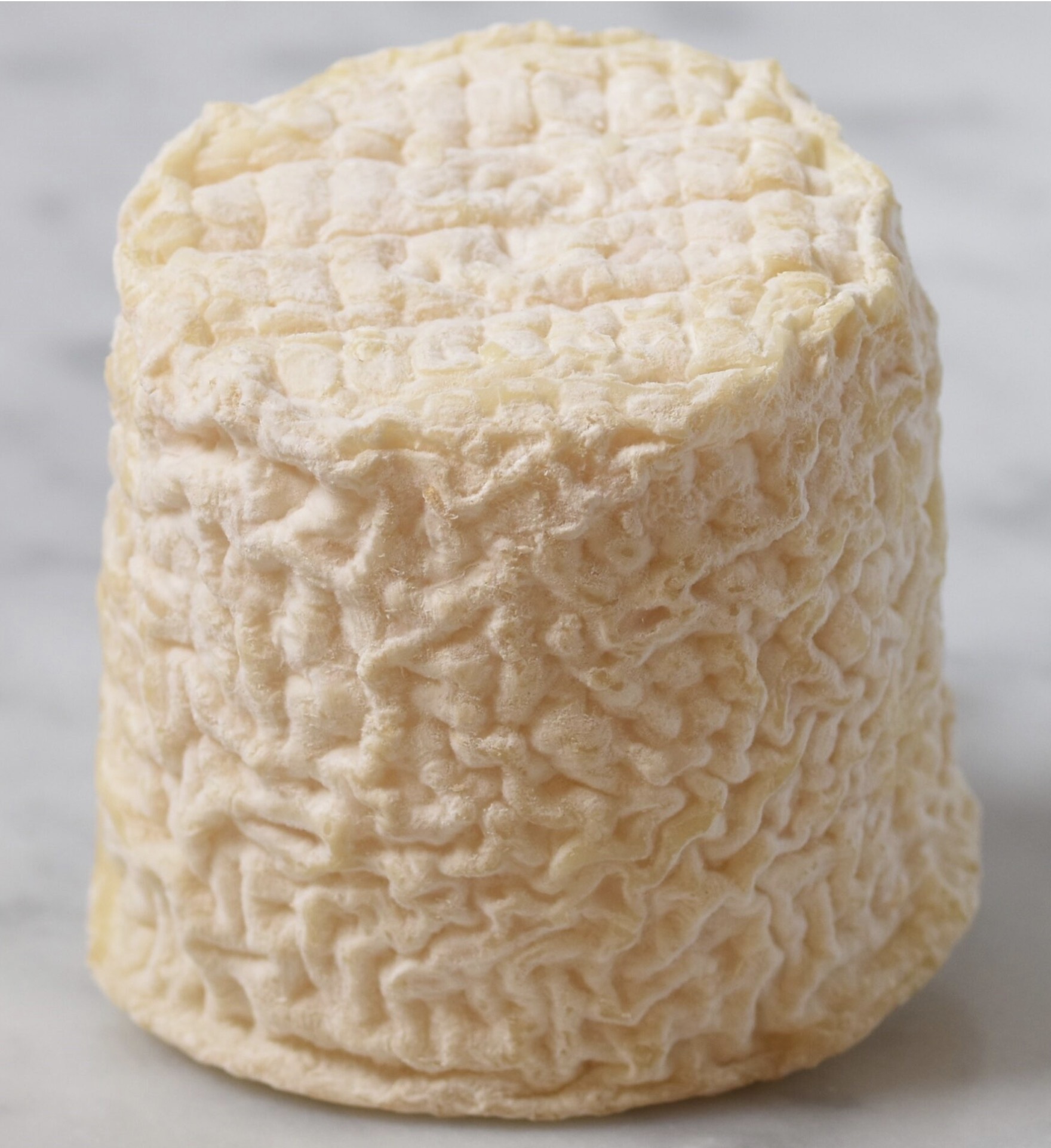 Mit'chou Brebis Biologische schaap