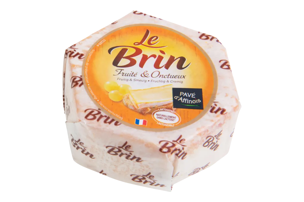 Le Brin
