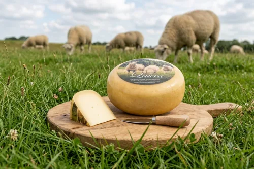 Schapenkaas
